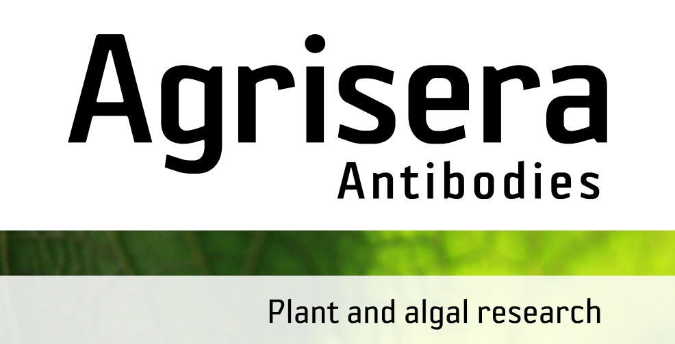 Agrisera MicroRNA相關(guān)研究植物蛋白抗體火熱促銷中！